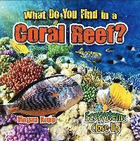 Megan Kopp - What Do You Find in a Coral Reef?, Häftad