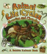 bokomslag Animal Life Cycles