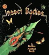 bokomslag Insect Bodies