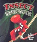 bokomslag Insect Life Cycles