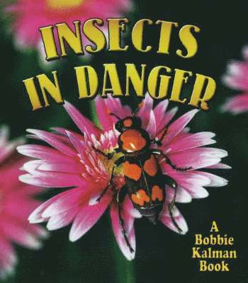 Insects in Danger 1