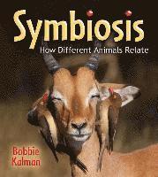 bokomslag Symbiosis
