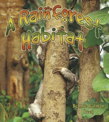 Rainforest Habitats 1