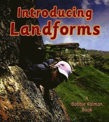 bokomslag Introducing Landforms