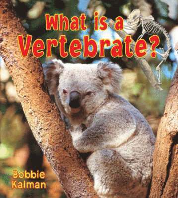 bokomslag What is a Vertebrate