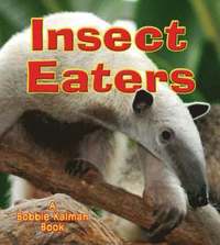 bokomslag Insect Eaters