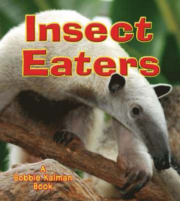 Insect Eaters 1