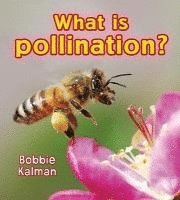 bokomslag What is pollination?