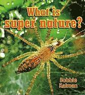 bokomslag What is super nature?