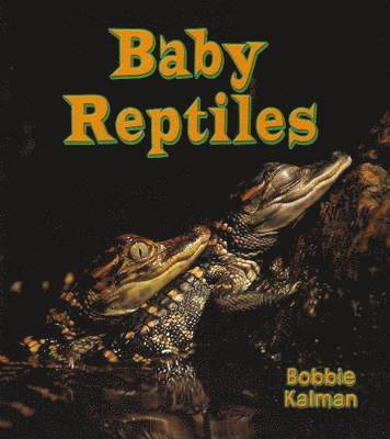 Baby Reptiles 1