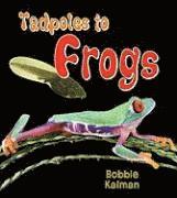 bokomslag Tadpoles to Frogs
