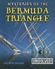 bokomslag Mysteries of the Bermuda Triangle