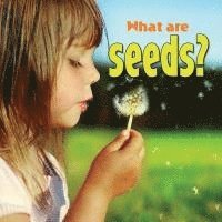 What are seeds? 1