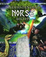 bokomslag Understanding Norse Myths