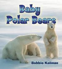 bokomslag Baby Polar Bears