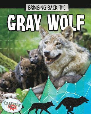 bokomslag Gray Wolf