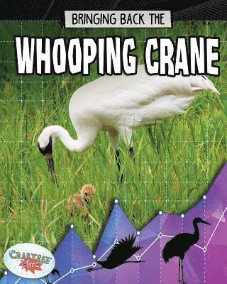 bokomslag Bringing Back the Whooping Crane