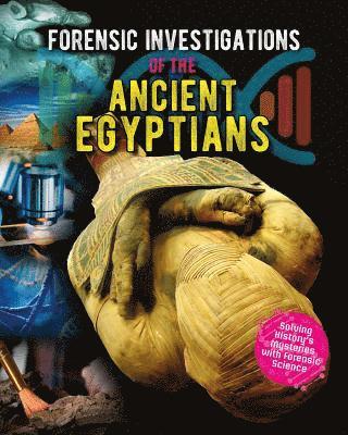 bokomslag Forensic Investigations of the Ancient Egyptians