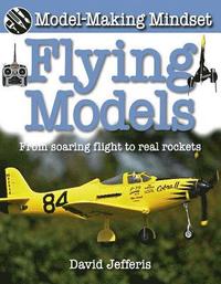 bokomslag Flying Models