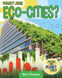 bokomslag What Are Eco-Cities?
