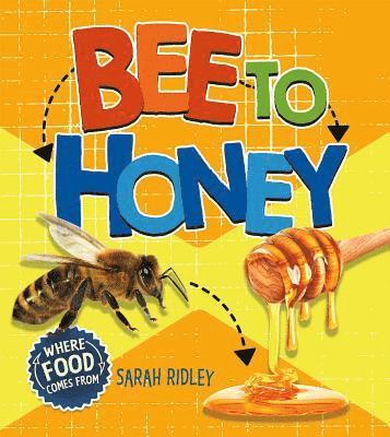 Bee to Honey 1