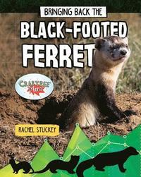 bokomslag Bringing Back the Black-Footed Ferret