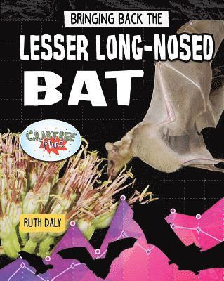 bokomslag Bringing Back the Lesser Long-Nosed Bat