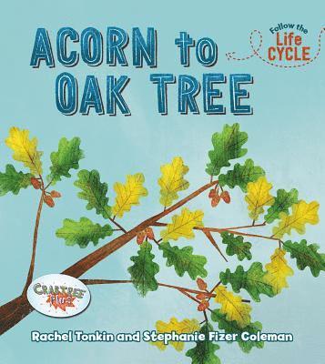 Acorn to Oak Tree 1