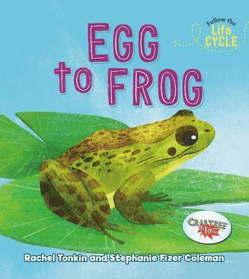 bokomslag Egg to Frog