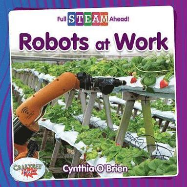 Cynthia O'Brien - Robots at Work, Häftad