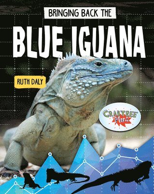 Bringing Back the Blue Iguana 1