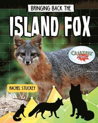 Bringing Back the Island Fox 1