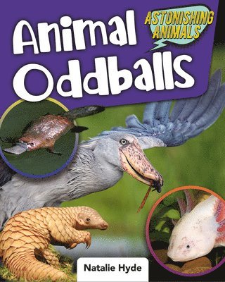 Natalie Hyde - Animal Oddballs, Häftad