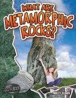bokomslag What Are Metamorphic Rocks?