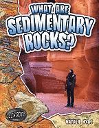 bokomslag What are Sedimentary Rocks?