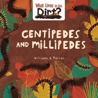 bokomslag Centipedes and Millipedes