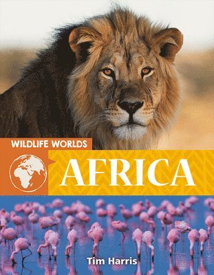 Tim Harris - Wildlife Worlds: Africa, Häftad
