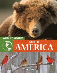 bokomslag Wildlife Worlds North America