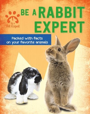 Gemma Barder - Be a Rabbit Expert, Häftad