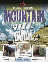 bokomslag Mountain Survival Guide