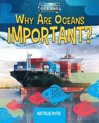 bokomslag Why Are Oceans Important?