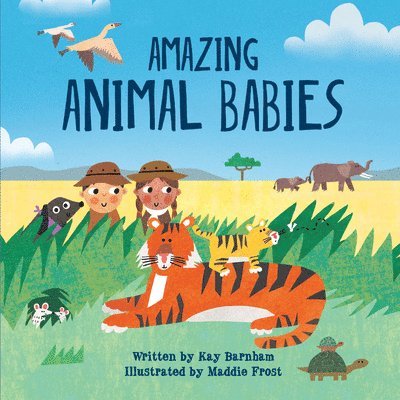Kay Barnham - Amazing Animal Babies, Inbunden. Tillgänglighet: Lägg i varukorg