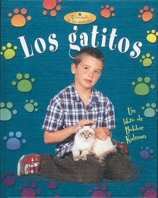 Niki Walker, Bobbie Kalman - Gatitos (Kittens), Inbunden