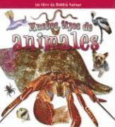 Molly Aloian - Muchos Tipos de Animales (Many Kinds of Animals), Häftad. Tillgänglighet: Lägg i varukorg
