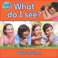 bokomslag What do I see?