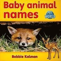 bokomslag Baby animal names