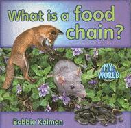 bokomslag What Is a Food Chain?