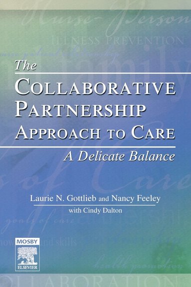 bokomslag The Collaborative Partnership Approach to Care - A Delicate Balance