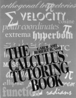bokomslag The Calculus Tutoring Book