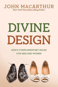 bokomslag Divine Design